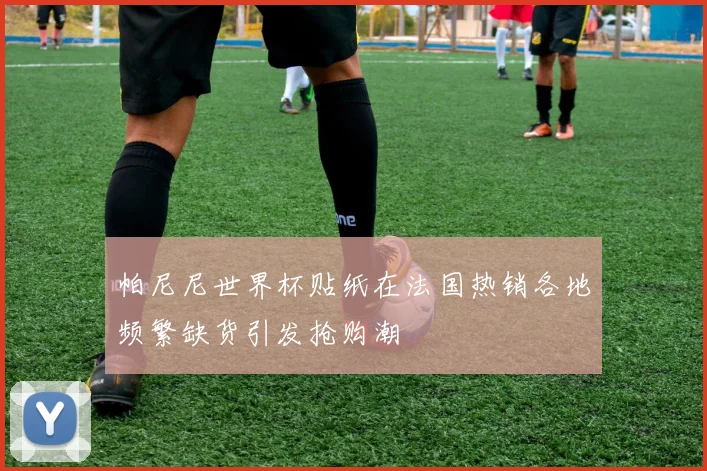 帕尼尼世界杯贴纸在法国热销各地频繁缺货引发抢购潮